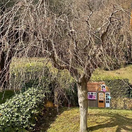 Few Steps To The Heart Of Menaggio, Swimming Pool, Breathtaking View Lägenhet *